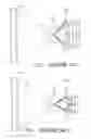 Fig. 02 - Image rectifying mehtod