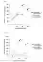 Fig. 02 - Tumor antigen