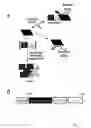 Fig. 02 - Protein/solubility folding assessed by structural complementation