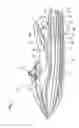 Fig. 02 - Exhaust system for small-sized boat