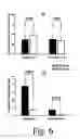 Fig. 07 - Method to induce neovascular formation and tissue regeneration