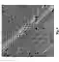Fig. 10 - Method to induce neovascular formation and tissue regeneration