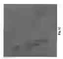 Fig. 14 - Method to induce neovascular formation and tissue regeneration
