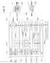 Fig. 08 - Multi-layer based method for implementing network firewalls