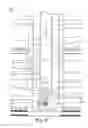 Fig. 07 - Downhole hydraulic ram
