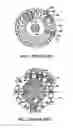 Fig. 02 - Rotor structure of line-start permanent magnet synchronous motor