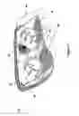 Fig. 02 - Method of forming a decorative motif on a component of lighting or indicating apparatus for a motor vehicle