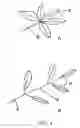 Fig. 05 - Multipurpose air ventilating umbrella
