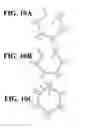 Fig. 08 - COIL TERMINAL CIRCUIT STRUCTURE FOR ROTARY ELECTRICAL DEVICE