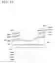 Fig. 16 - Variable optical-property element