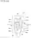 Fig. 28 - Variable optical-property element