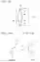 Fig. 41 - Variable optical-property element