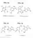 Fig. 03 - Nucleic acid molecules with reduced secondary structure