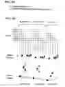 Fig. 04 - Nucleic acid molecules with reduced secondary structure
