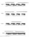 Fig. 03 - Method for fabricating organic EL element