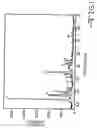 Fig. 02 - Calcium dicarboxylate ethers, methods of making same, and treatment of vascular disease and diabetes therewith