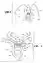 Fig. 02 - Suture anchor and method