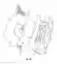 Fig. 13 - Fastener for a golf ball cleaning device