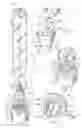 Fig. 02 - Walnut meat and other nut meat grinder