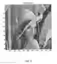 Fig. 07 - Discrete fourier transform (DFT) watermark