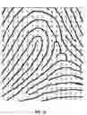 Fig. 09 - Polygonal ridge flow classification