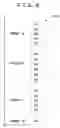 Fig. 08 - Mobile information communication terminal program and recording medium containing the program