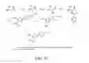 Fig. 33 - Materials and methods for the treatment of diabetes, hyperlipidemia, hypercholesterolemia, and atherosclerosis
