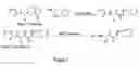 Fig. 02 - Abuse resistant lysine amphetamine compounds