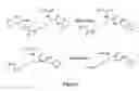 Fig. 03 - Abuse resistant lysine amphetamine compounds