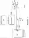 Fig. 11 - High throughput plasma treatment system
