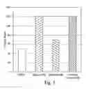 Fig. 03 - Phototool coating
