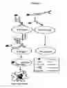 Fig. 02 - Drug delivery compositions