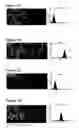 Fig. 08 - Drug delivery compositions