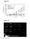 Fig. 11 - Drug delivery compositions