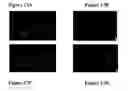 Fig. 18 - Drug delivery compositions