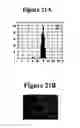 Fig. 22 - Drug delivery compositions