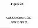Fig. 24 - Drug delivery compositions