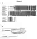 Fig. 02 - Methods for modulating plant growth and biomass
