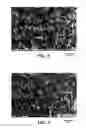 Fig. 09 - Paper sheet having high absorbent capacity and delayed wet-out