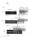 Fig. 26 - Multiple-contact woven electrical switches
