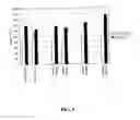 Fig. 07 - Membrane unit element, semipermeable membrane, filtration device, and processes for manufacturing the same