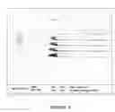 Fig. 05 - Method for producing self-aligned mask, articles produced by same and composition for same