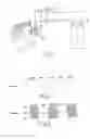 Fig. 02 - Device and method for controlling flicker in liquid crystal shutter glasses