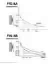 Fig. 08 - Measuring apparatus