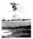 Fig. 01 - Wakeboard outerbase support shell and bladder combination