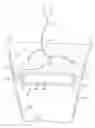 Fig. 01 - False bottom insert assembly for an oversized planter container