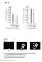 Fig. 07 - Simple apparatus for preparing experimental models of brain neuronal damage and preparation of secondary brain damage model with methods for evaluation of drug efficacy of novel compounds against brain damage and memory-related events