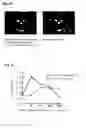 Fig. 08 - Simple apparatus for preparing experimental models of brain neuronal damage and preparation of secondary brain damage model with methods for evaluation of drug efficacy of novel compounds against brain damage and memory-related events