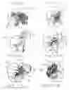 Fig. 07 - Hair styling devices and methods
