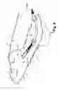 Fig. 07 - Apparatus and method for lining in situ pipe